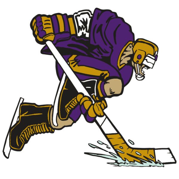 AR3 HOCKEY 15 RQC Miniaturansicht