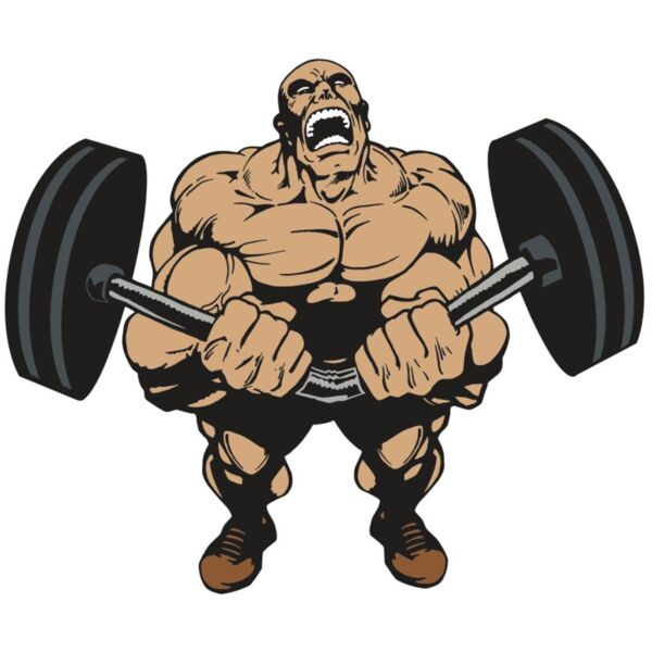 AR WEIGHTS 54 RC Miniaturansicht