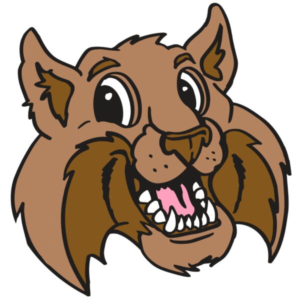 AR5 BOBCAT 05 RQC Miniaturansicht