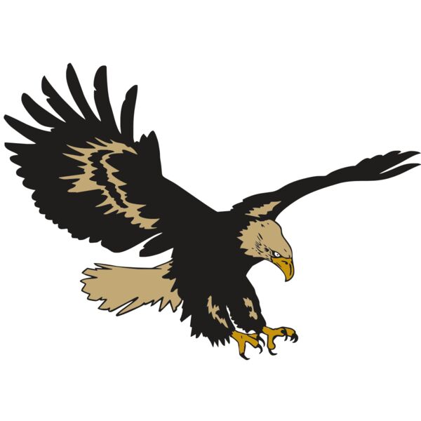 AR EAGLE 47 RC Miniaturansicht