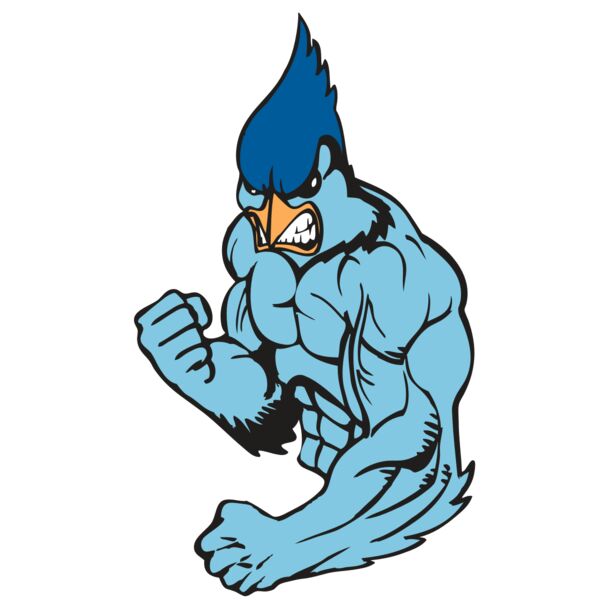 BAW BLUEJAY 13 RC Miniaturansicht