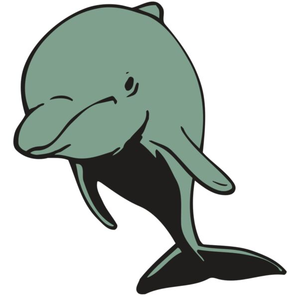 AR DOLPIN 11 RC Miniaturansicht