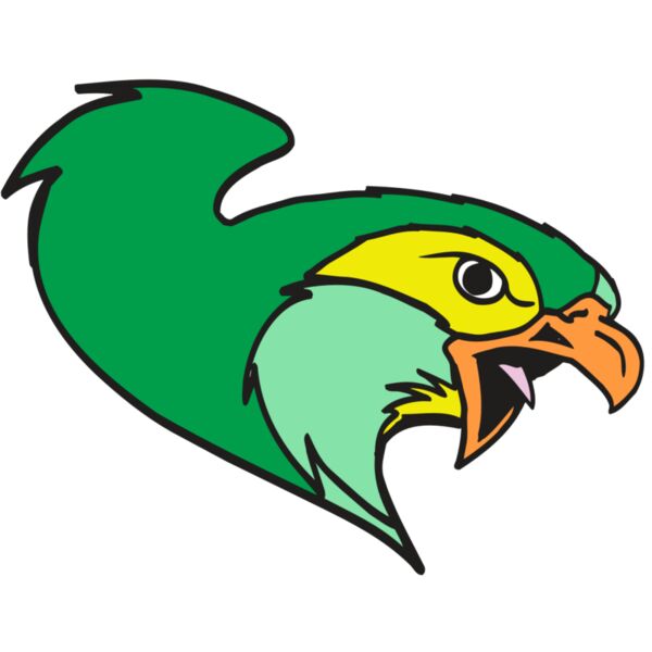 AR5 Hawk 11 RQC Miniaturansicht