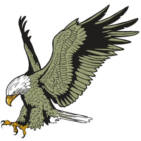 AR10 EAGLE 03 RQC Miniaturansicht