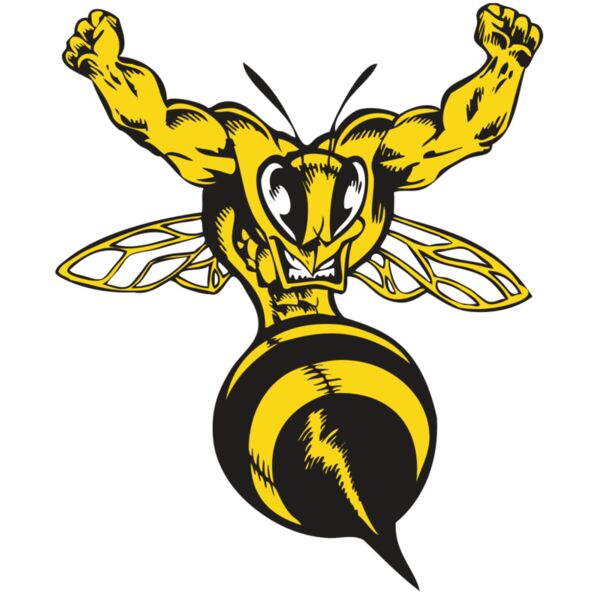 BAW BEE 04 RC Miniaturansicht