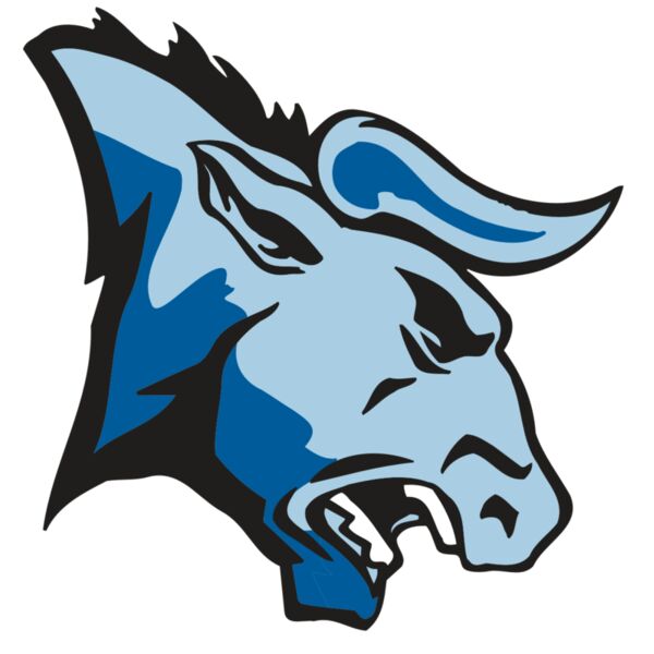 AR BULL 20 RC Miniaturansicht