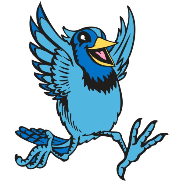 BAW BLUEJAY 09 RC Miniaturansicht