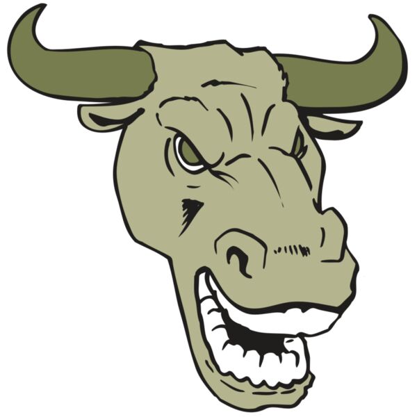 AR BULL 34 RC Miniaturansicht