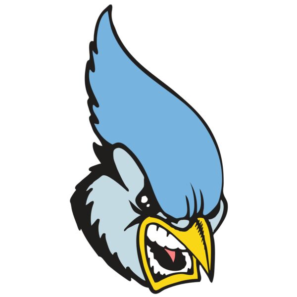 BAW BLUEJAY 05 RC Miniaturansicht