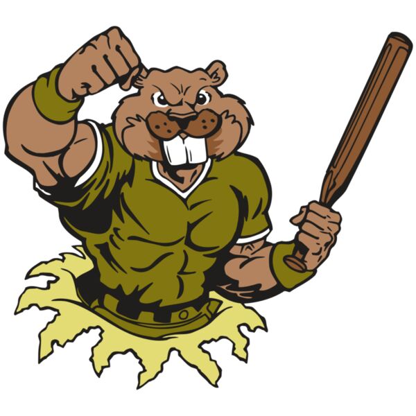 AR4 BEAVER 02 RQC Miniaturansicht