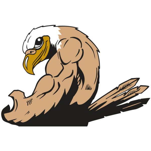 AR EAGLE 85 RC Miniaturansicht