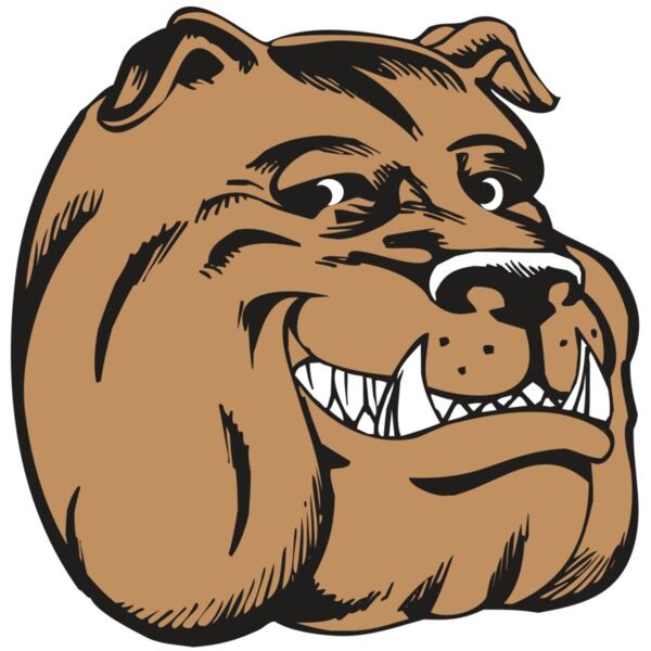 BAW BULLDOG 04 RC Miniaturansicht