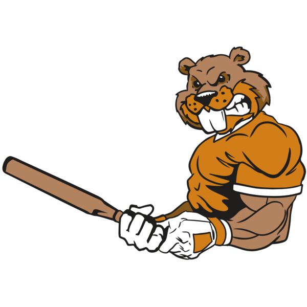 AR4 BEAVER 05 RQC Miniaturansicht