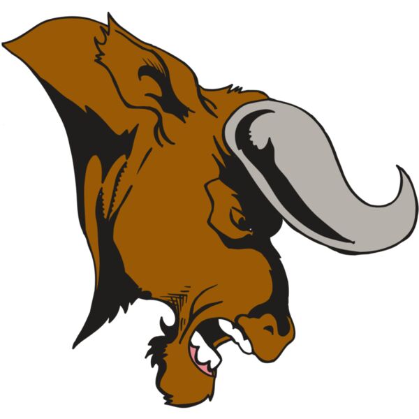 AR5 BULL 07 RQC Miniaturansicht