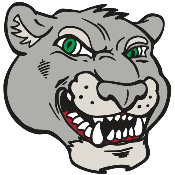 AR5 Cougar 06 RQC Miniaturansicht