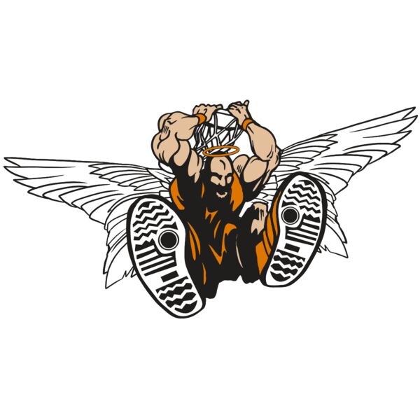 AR17 ANGEL BSKT 07 RQC Miniaturansicht