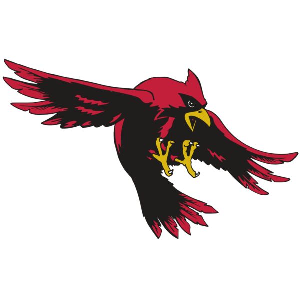 AR5 CARDINAL 16 RQC Miniaturansicht