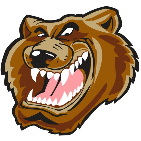 BEAR HD0503 RQC Miniaturansicht