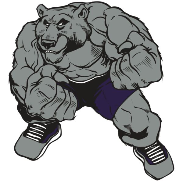 AR BEAR 28 RC Miniaturansicht