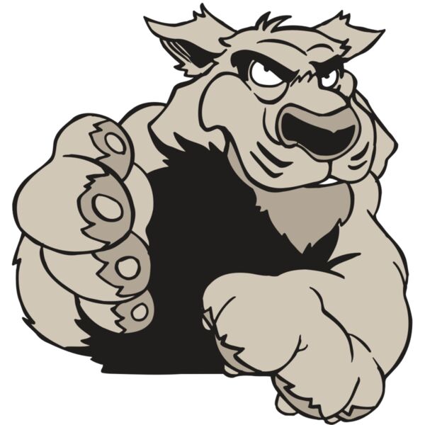 AR5 COUGAR 21 RQC Miniaturansicht