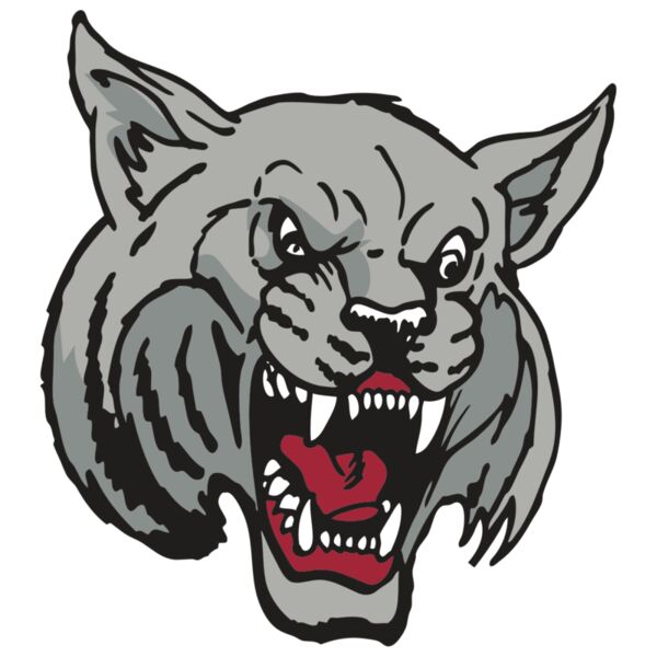 AR WILDCAT 42 RC Miniaturansicht