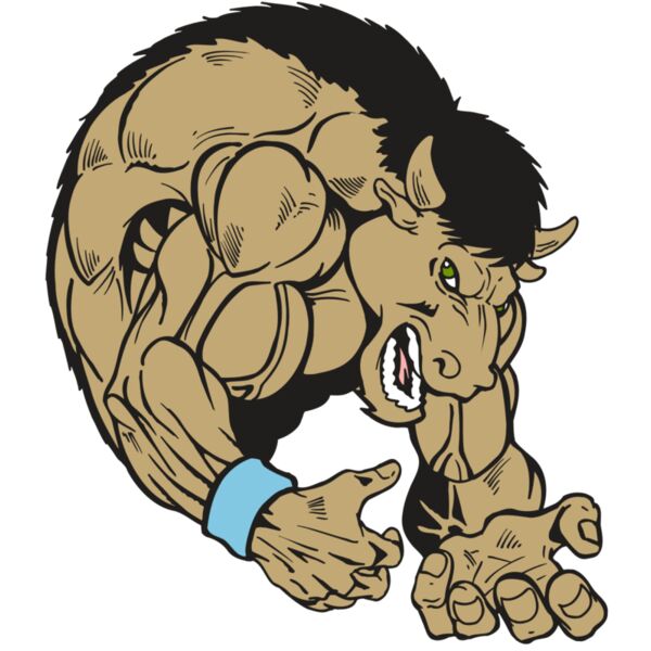 AR5 BUFFALO 12 RQC Miniaturansicht