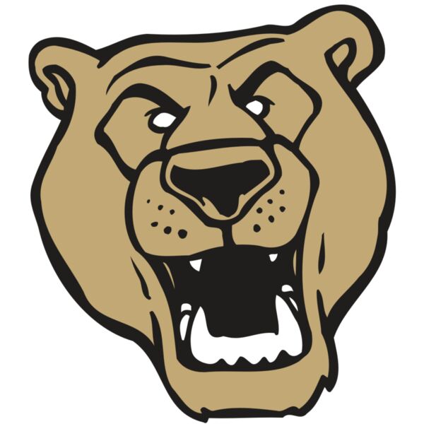 AR BEAR 13 RC Miniaturansicht