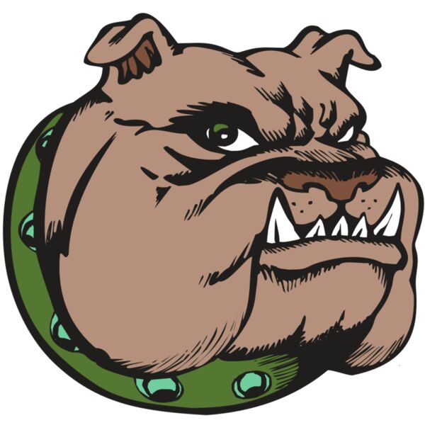 BAW BULLDOG 14 RC Miniaturansicht