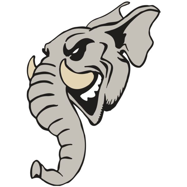 AR5 Elephant 11 RQC Miniaturansicht