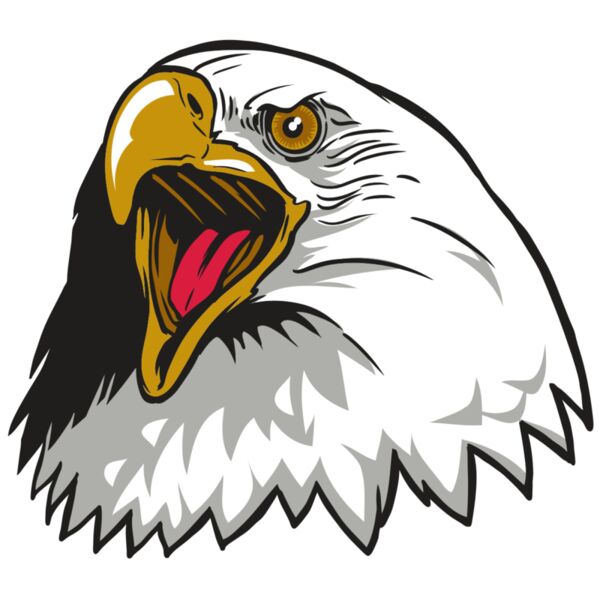 AR22 EAGLE 01 RQC Miniaturansicht