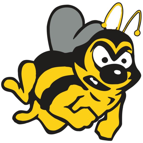 AR5 BEE 31 RQC Miniaturansicht