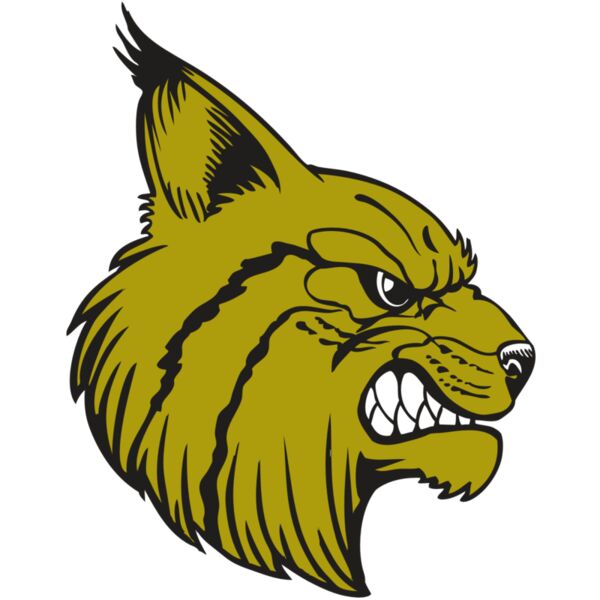 BAW BOBCAT 16 RC Miniaturansicht