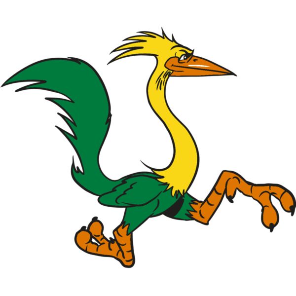 AR20 ROADRUNNER 36 RQC Miniaturansicht