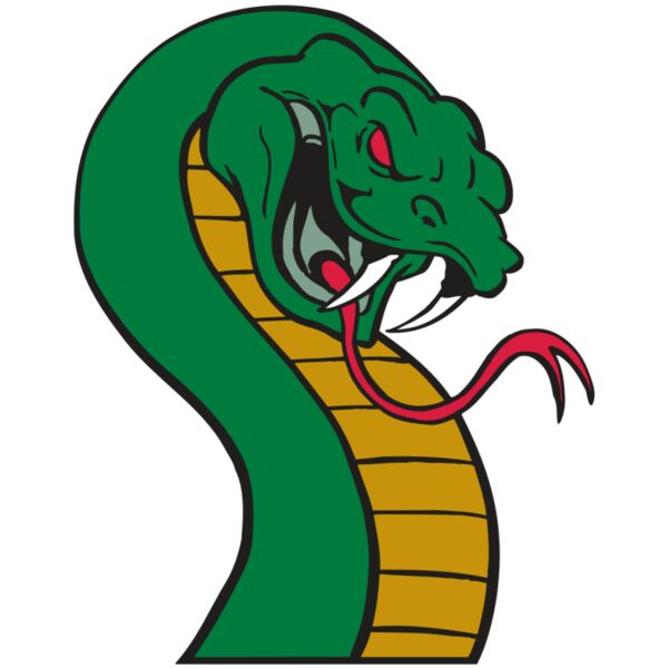 AR SNAKE 12 RC Miniaturansicht