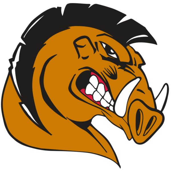 AR RAZORBACK 19 RC Miniaturansicht