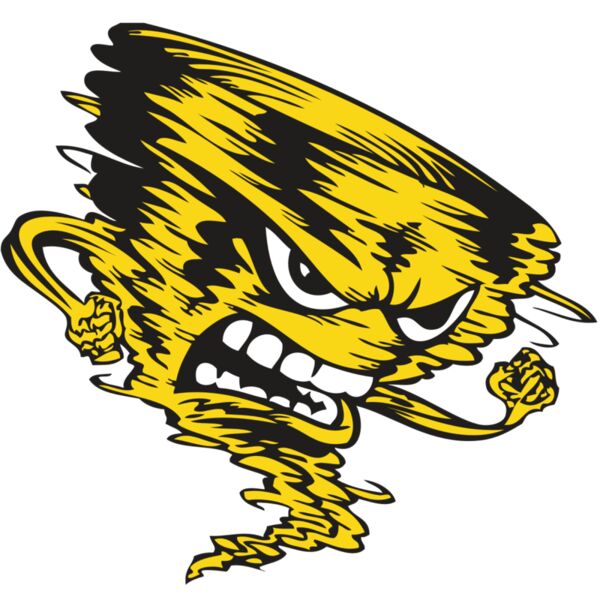 BAW STORM 08 RC Miniaturansicht