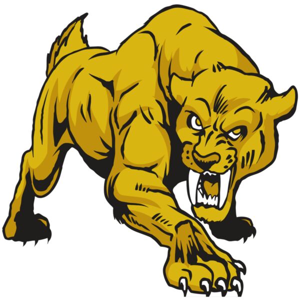 AR30 SABER 01 RQC Miniaturansicht