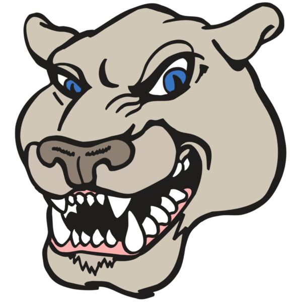 AR5 COUGAR 10 RQC Miniaturansicht