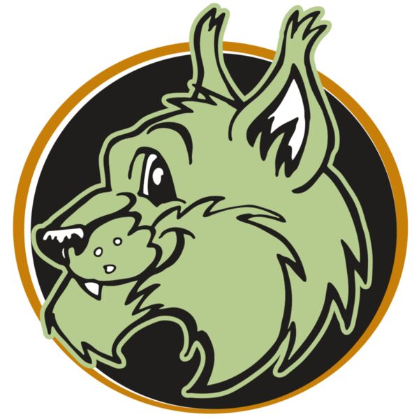 AR WILDCAT 17 RC Miniaturansicht