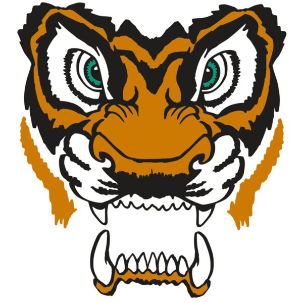 AR TIGER 11 RC Miniaturansicht