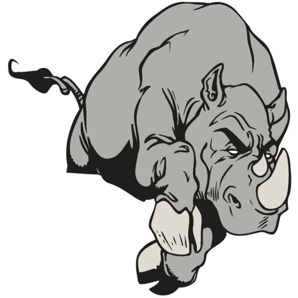 AR5 Rhino 11 RQC Miniaturansicht