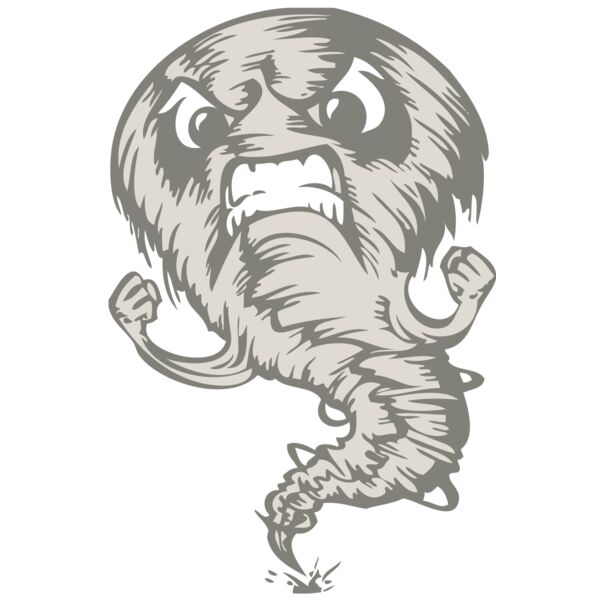 BAW STORM 07 RC Miniaturansicht