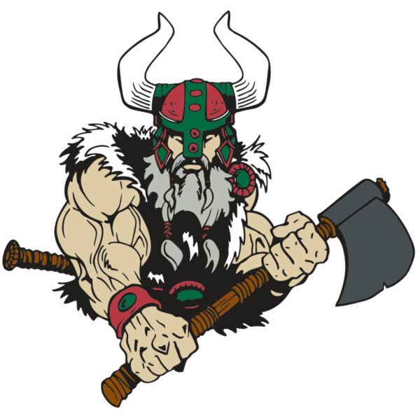 AR VIKING 40 RC Miniaturansicht