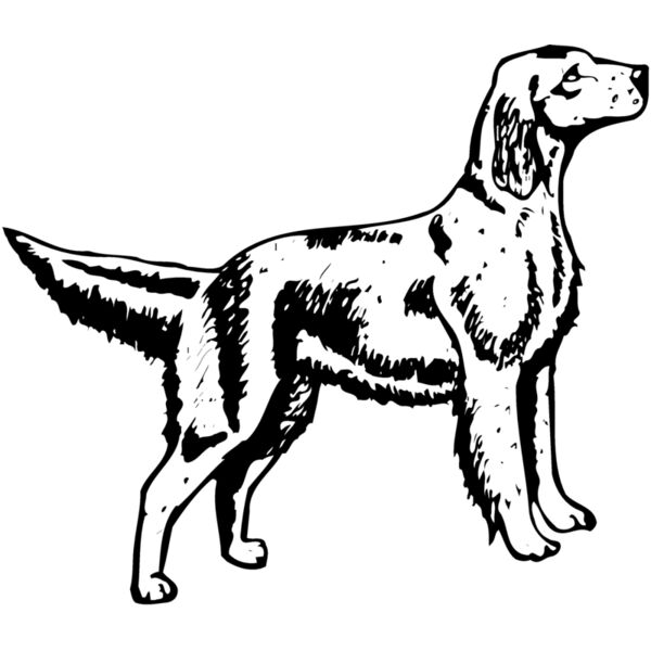 DC0004 Miniaturansicht