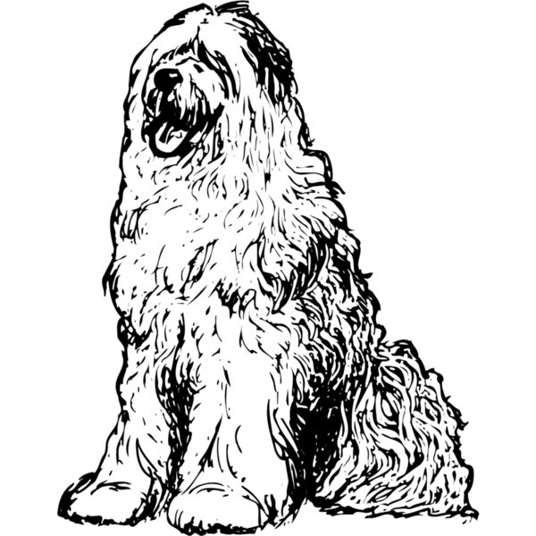 DC0028 Miniaturansicht