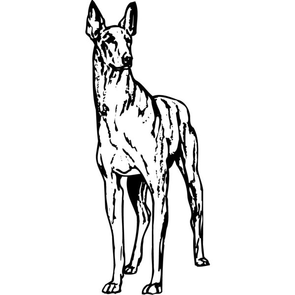 DC0033 Miniaturansicht