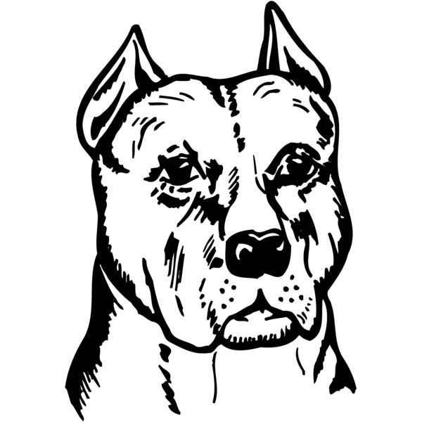 DC0058 Miniaturansicht