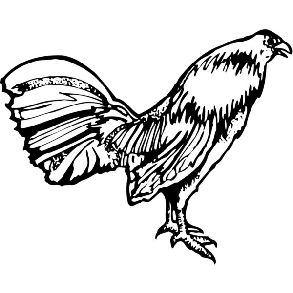 CHICK011 Miniaturansicht