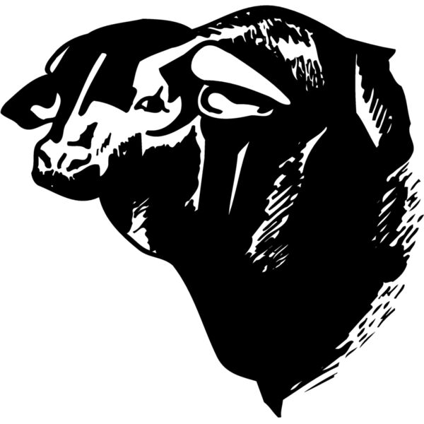 COW007 Miniaturansicht