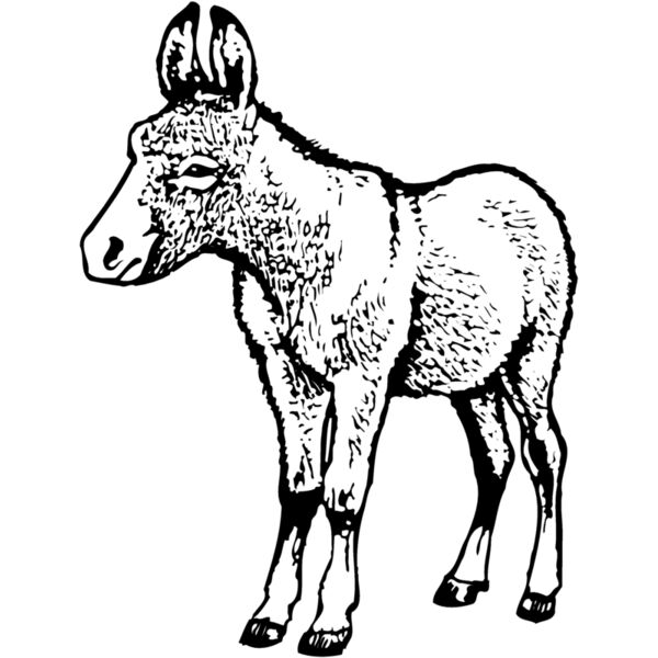 BURRO009 Miniaturansicht